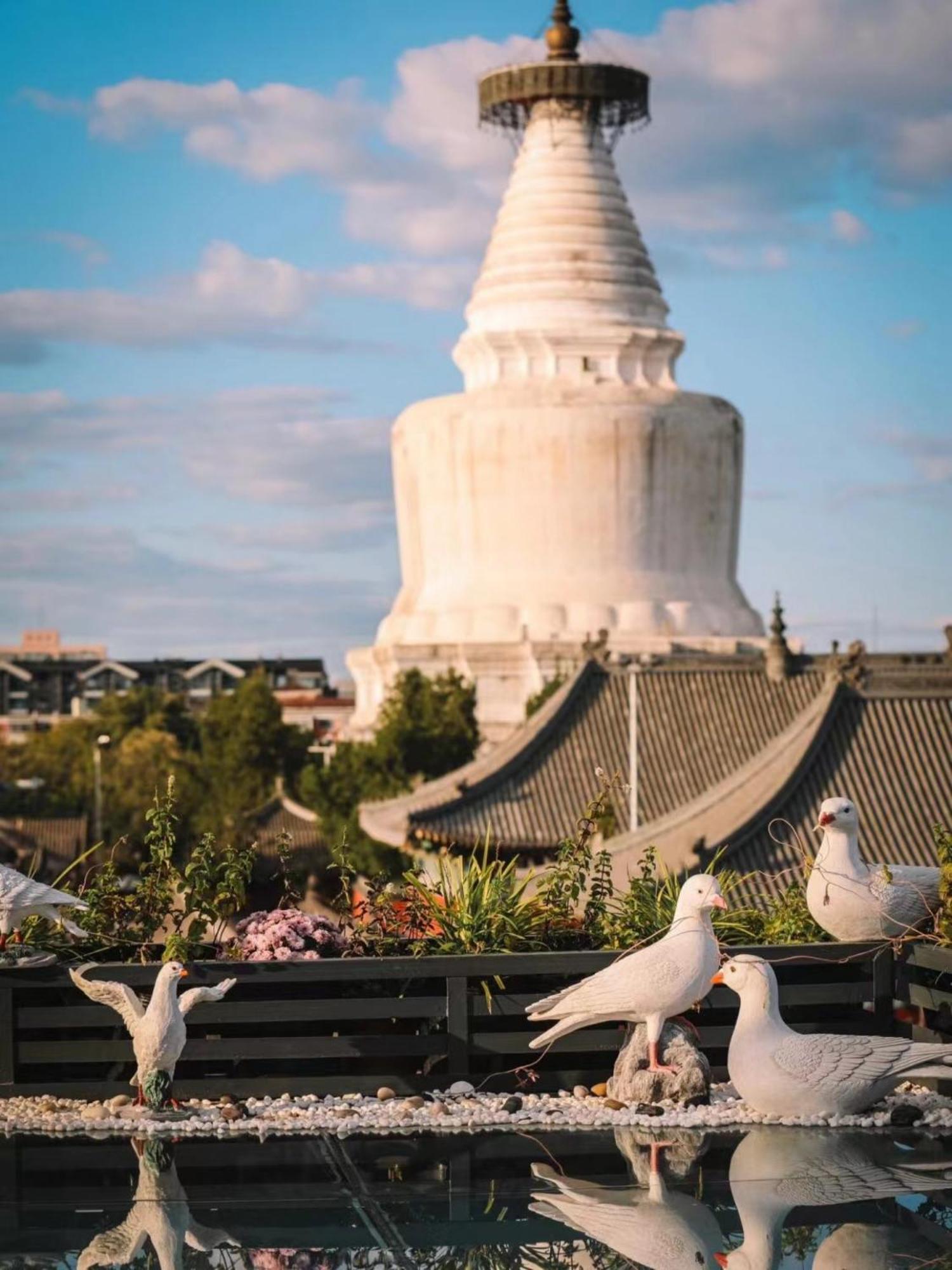 East Sacred Hotel ᴸᴱo---Foreign Accept---Tourism Service English-Speaking 丨 Near Tiananmen Forbidden City丨very Close To Metro Zhangzizhong And Beixinqiao 丨european Foot Ball English丨free Advance Tickets And Laundry Drying Service Coffee Snacks Pekín Exterior foto